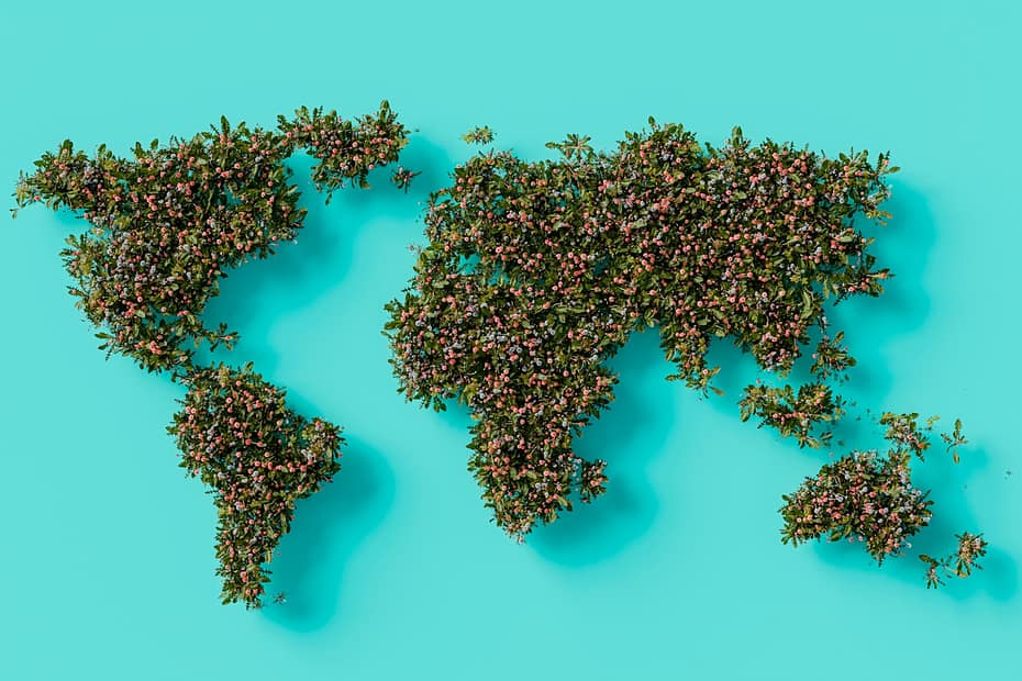 a map of the world made up of tiny plants